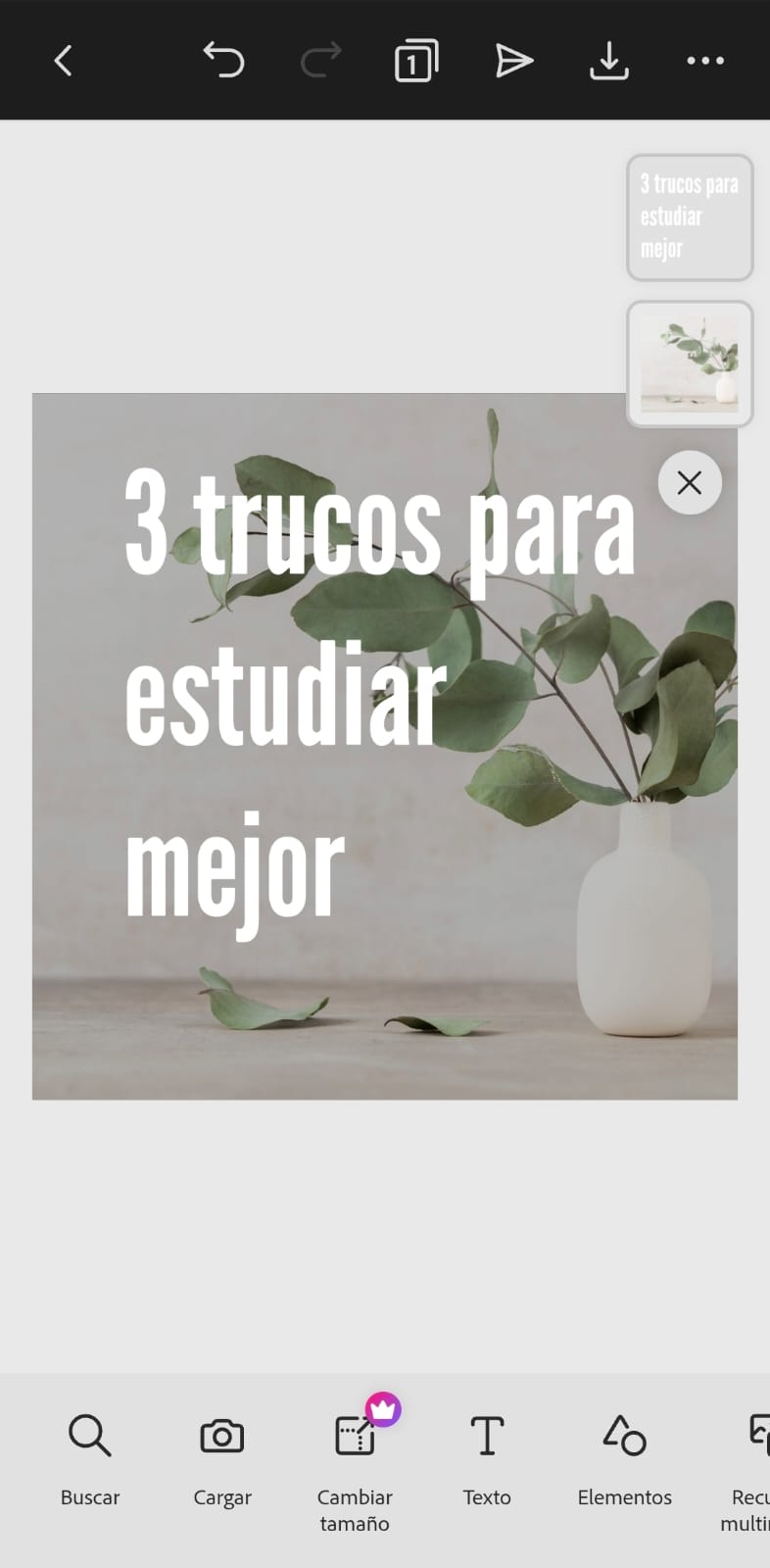 Diseño terminado en Adobe Express